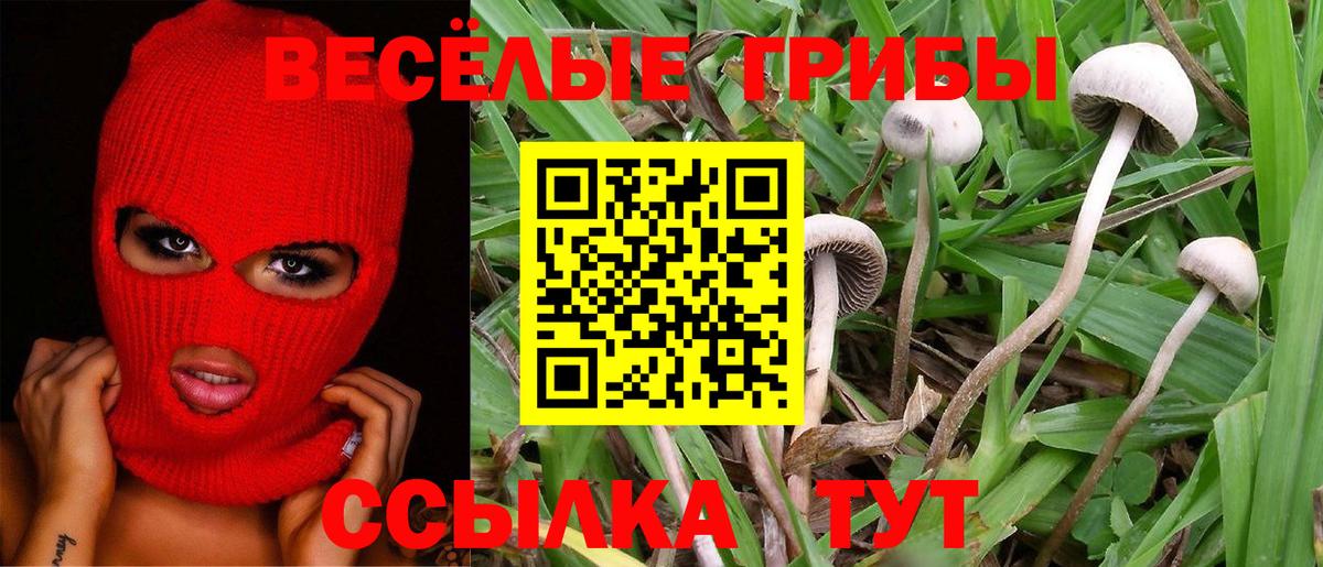 Галлюциногенные грибы ЛСД  Вход с VPN  Нижнеудинск  Галлюциногенные грибы мицелий 
