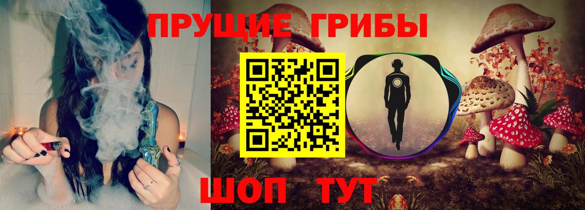 Псилоцибиновые грибы Cubensis Нижнеудинск